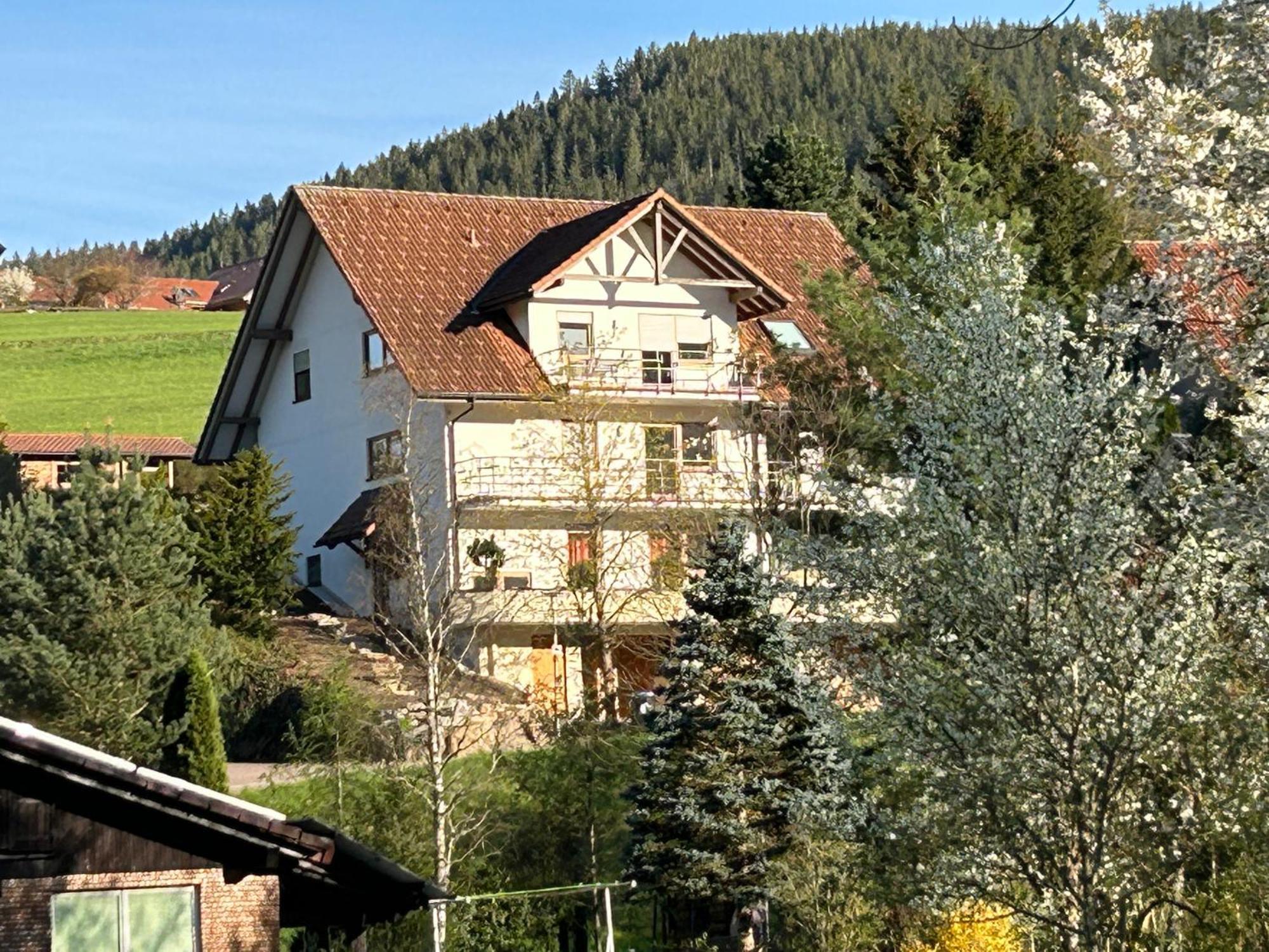 Am Baumgarten Baiersbronn Esterno foto